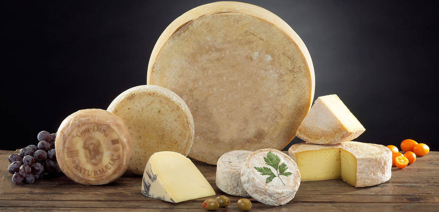 Forskellige oste fra Naturmælk