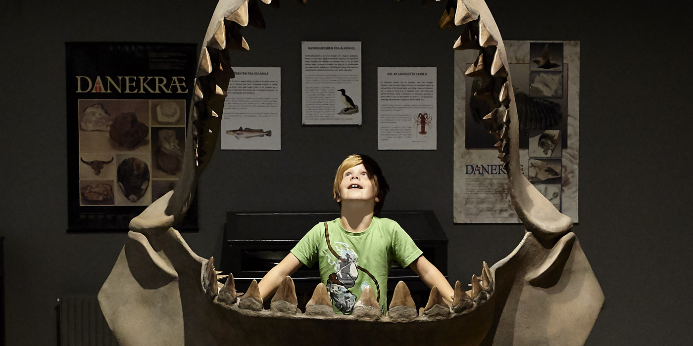 Begejstret dreng på museet ved Gram Lergrav