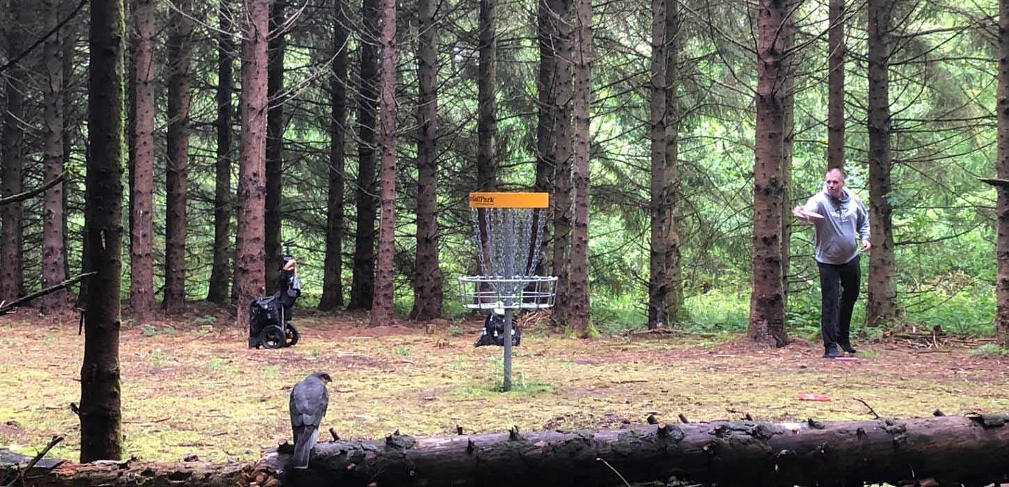 Disc Golf i skoven
