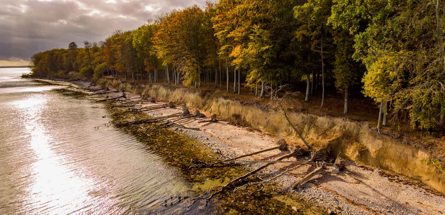 Faldne træer ved Skeldekobbel på Gendarmstien