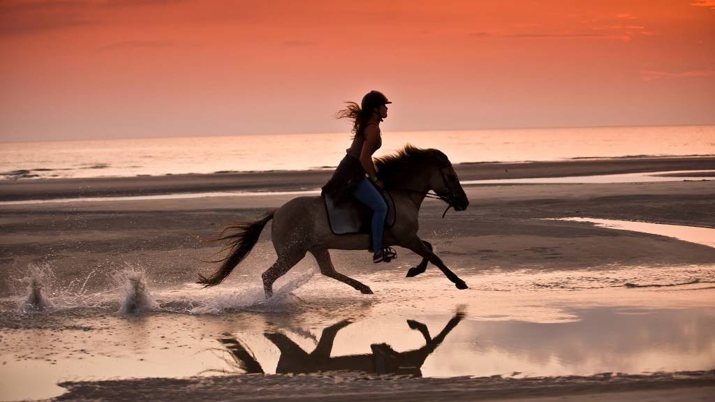 Paardrijden op het strand met Rømø Ponyfarm