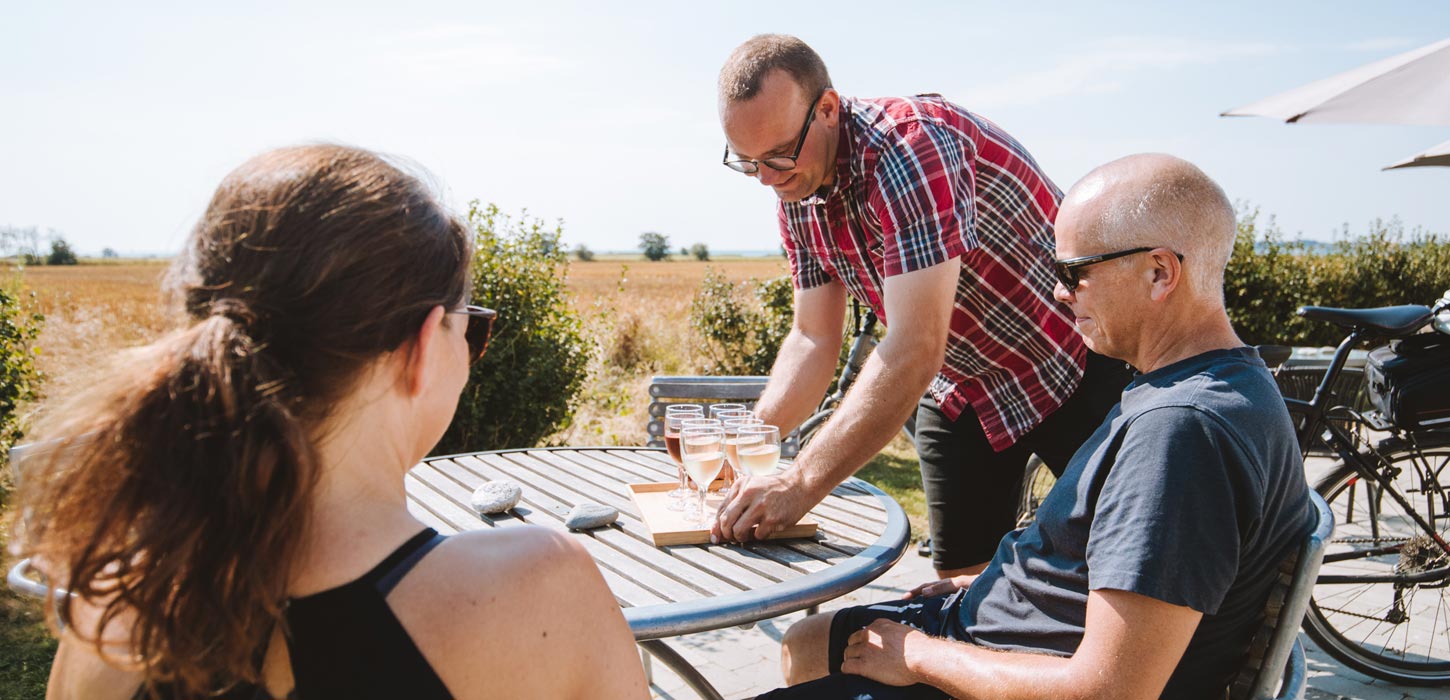 Vinsmagning på Aarø Vingård