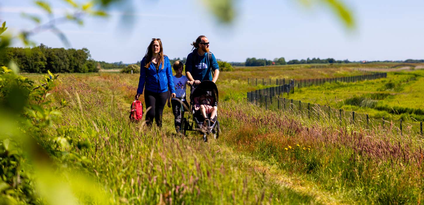 Familie vandrer på Marskstien med klapvogn