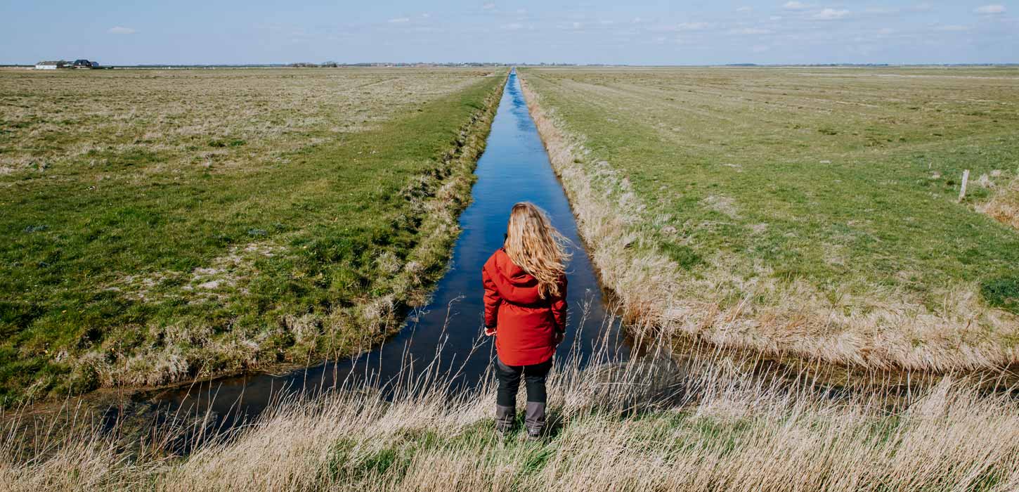 Udsigten på Marskstien