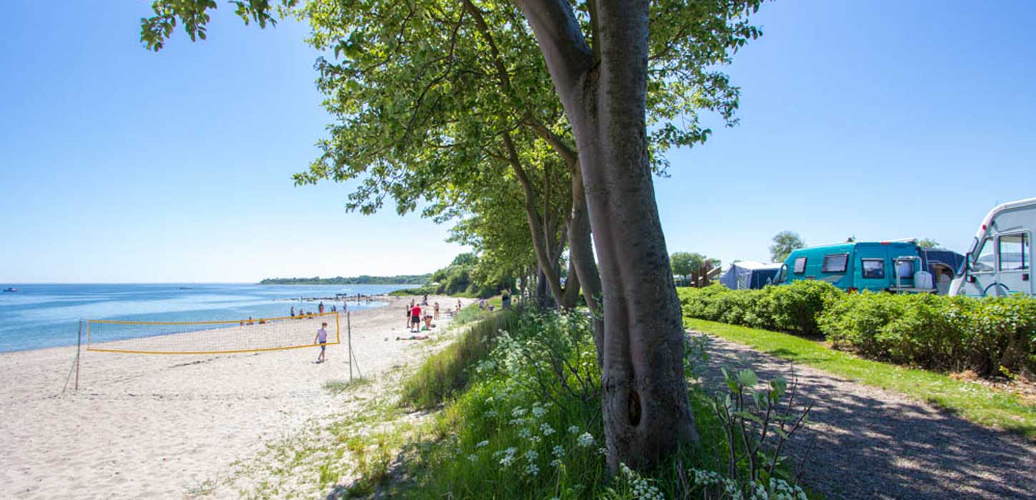 Strandaktiviteter ved Gammelbro Camping