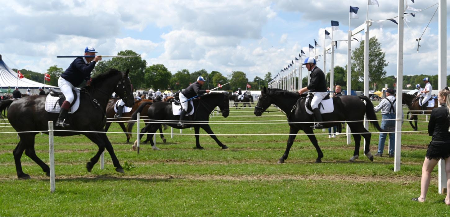 Ringriderdyst i Aabenraa