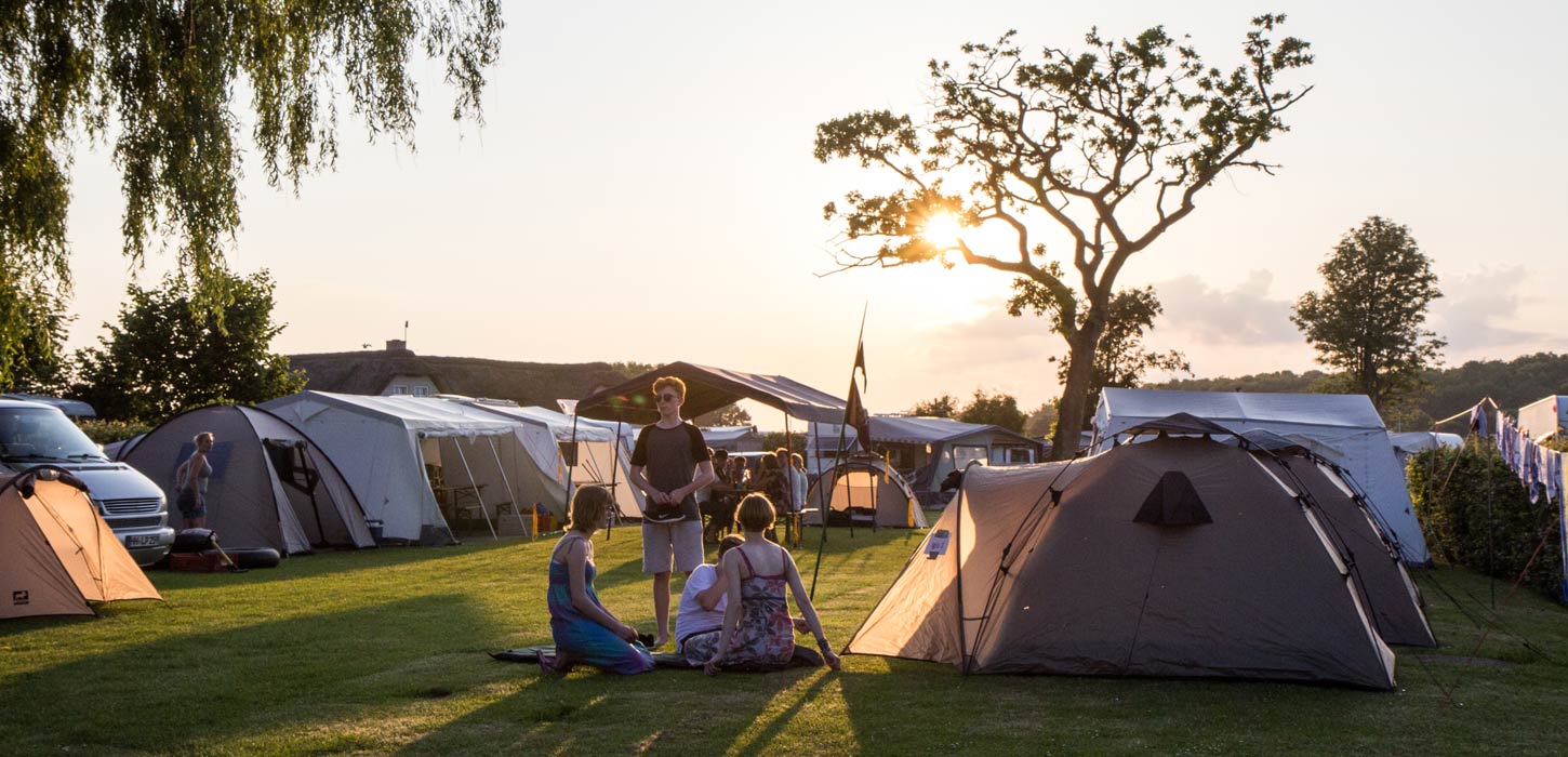 Campinghygge i solskin på Gammelbro Camping