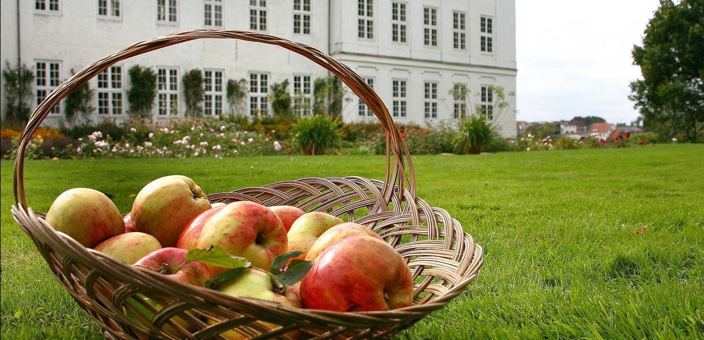 Æbler i kurv foran Graasten Slot