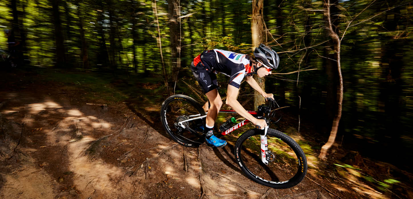 Mountainbikerytter på vej ned af en bakke i Pamhule Skov
