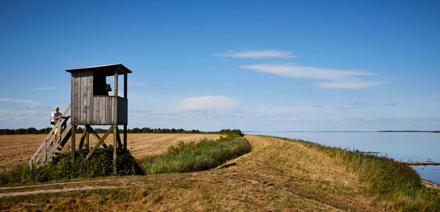 Fugleudkigstårn på Aarø