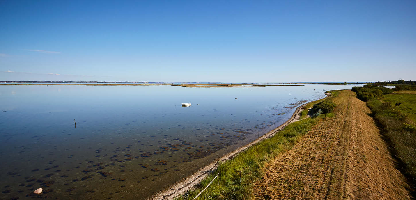 Udsigten over vandet ved Aarø