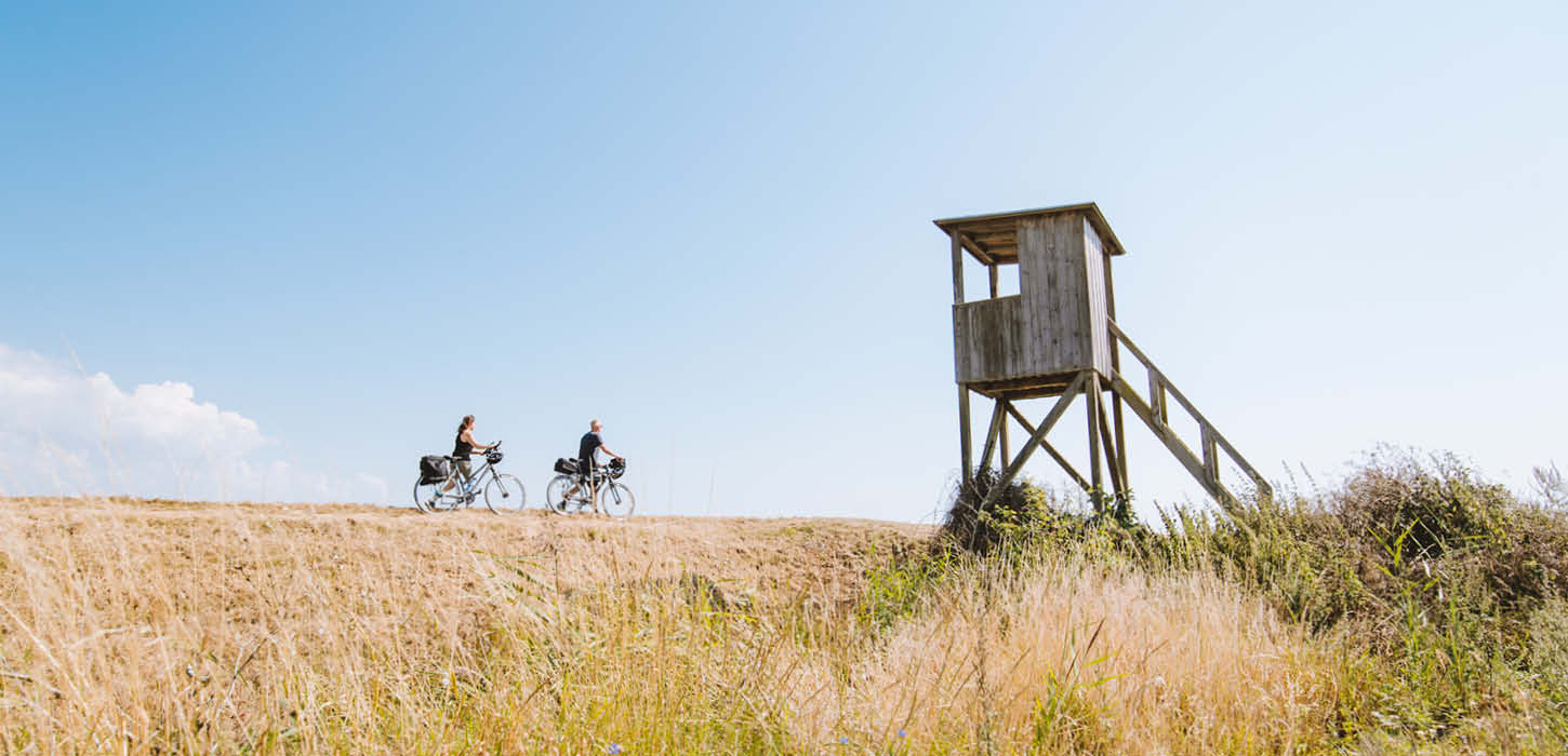 Cyklister ved fugleudkigspost på Årø