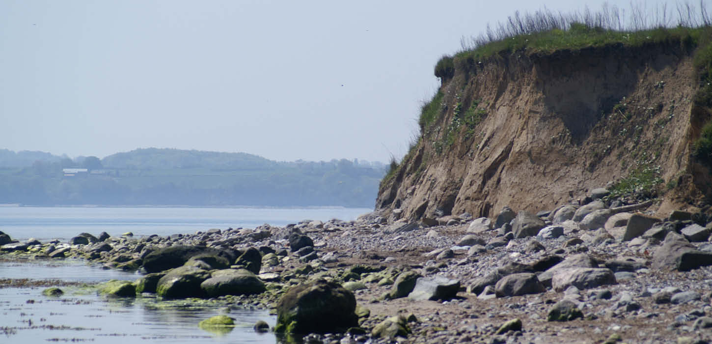 Digesvaler ved Borreshoved Strand