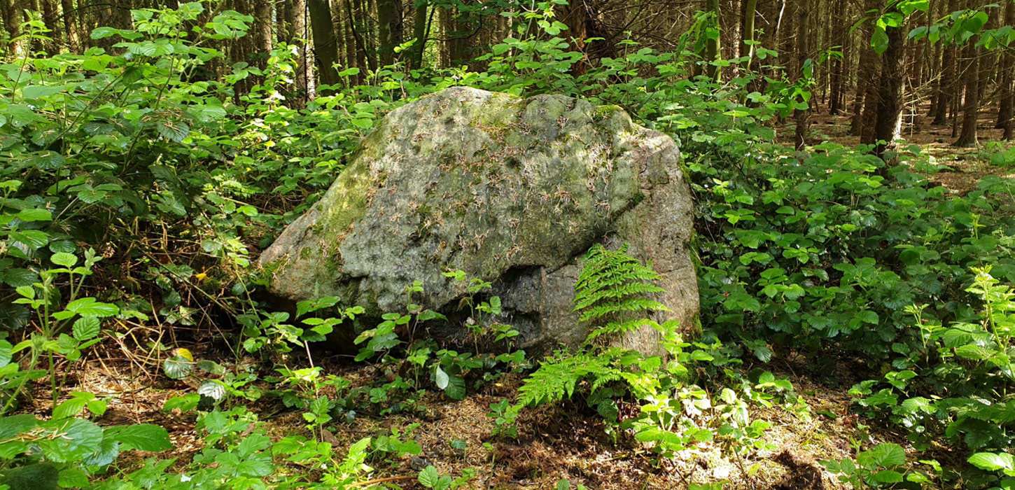 Skålsten i Rumohrsgård Dyrehave