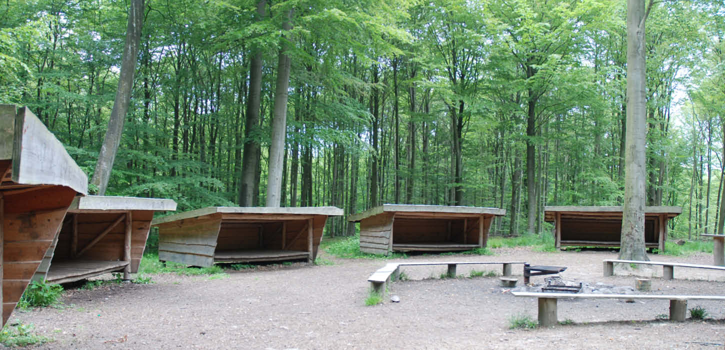 Shelterplads Syvstjernen i Gråsten skovene