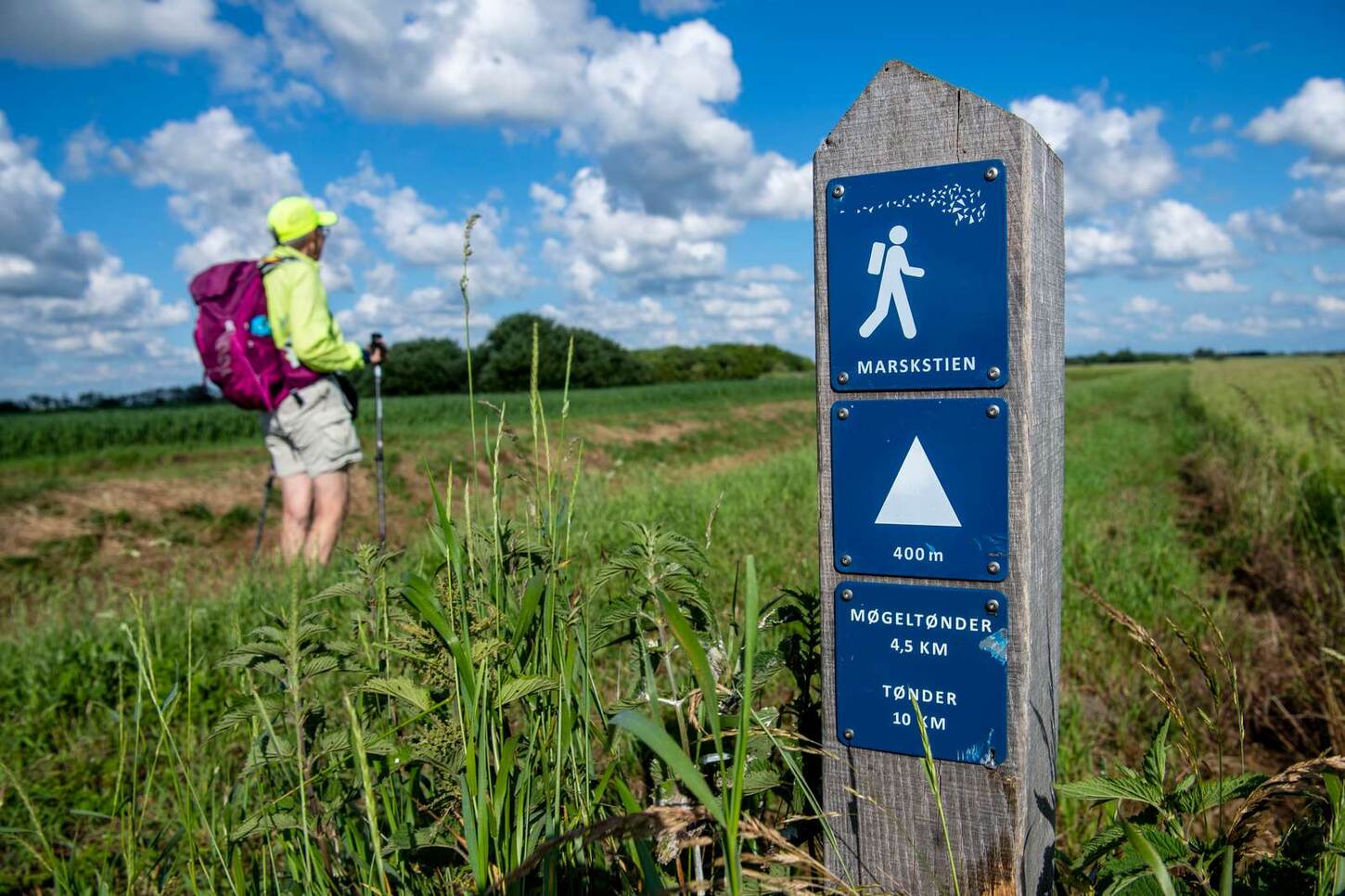 Tønder Marskstien skilt med en vandrer i baggrunden
