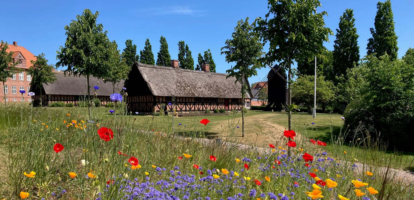 Arkæologi Haderslev med blomstermark