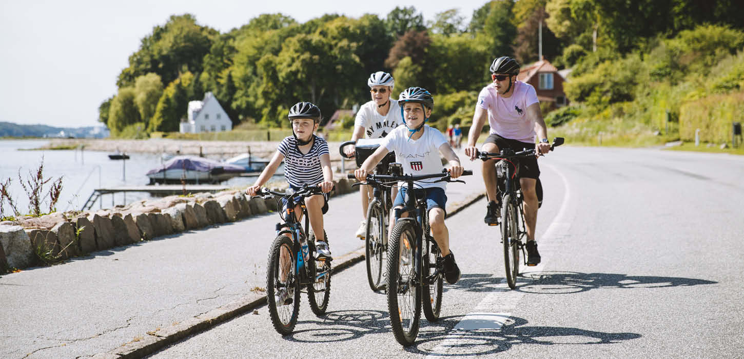 familie der cykler i sommerverjet 