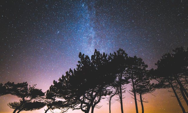 Fotografeer de sterrenhemel tijdens een fotosafari in Sønderjylland 