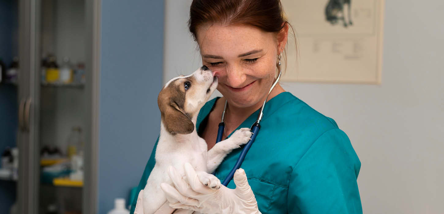 Dyrelæge med hund