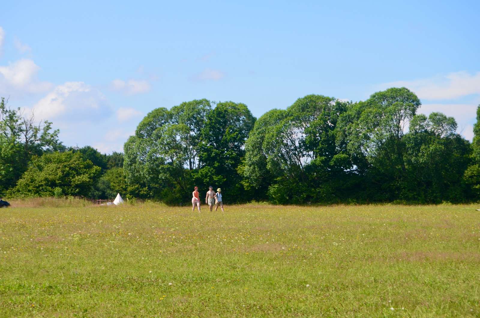 Grøn mørk i Sønderjylland