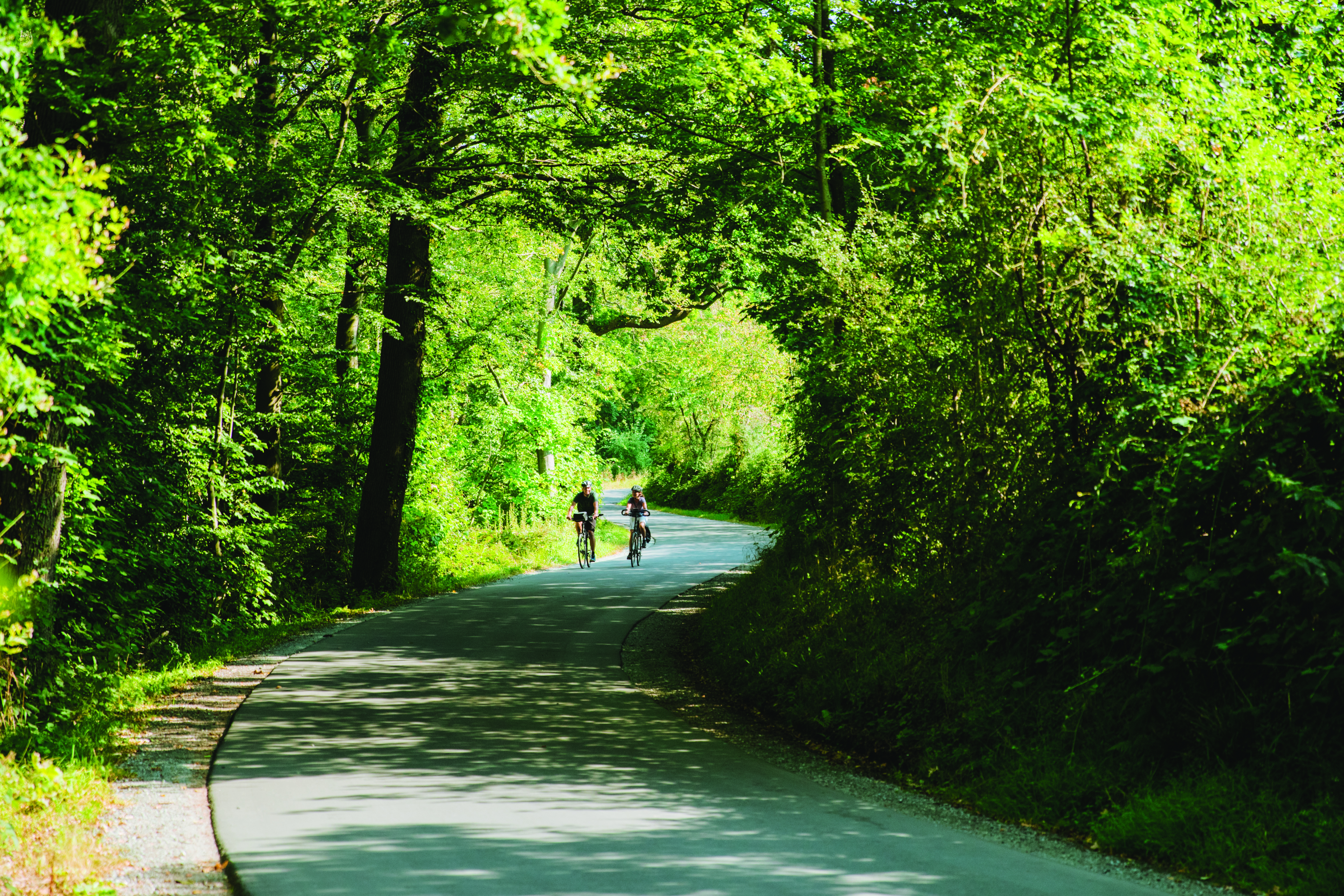 Par der cykler ved Jørgensgård Skov