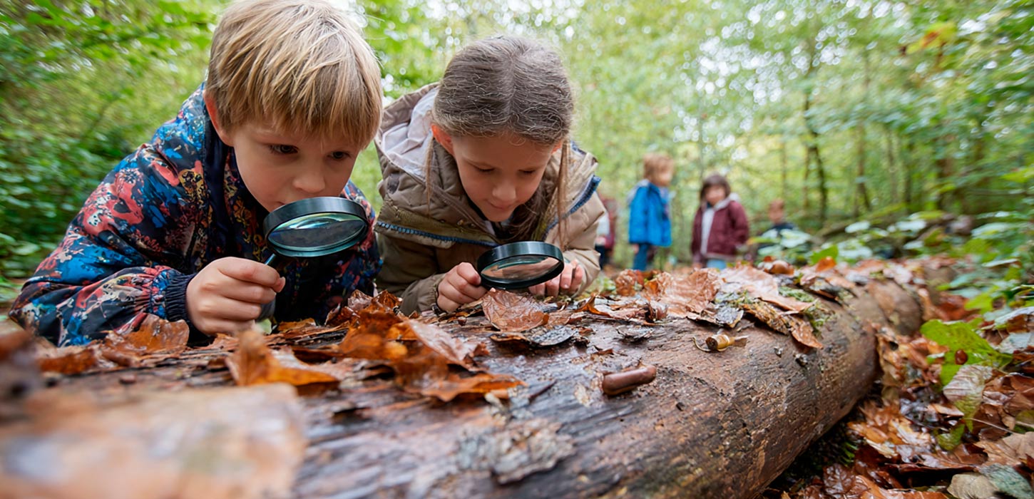 Børn på opdagelse i efterårsskov i Sønderborg